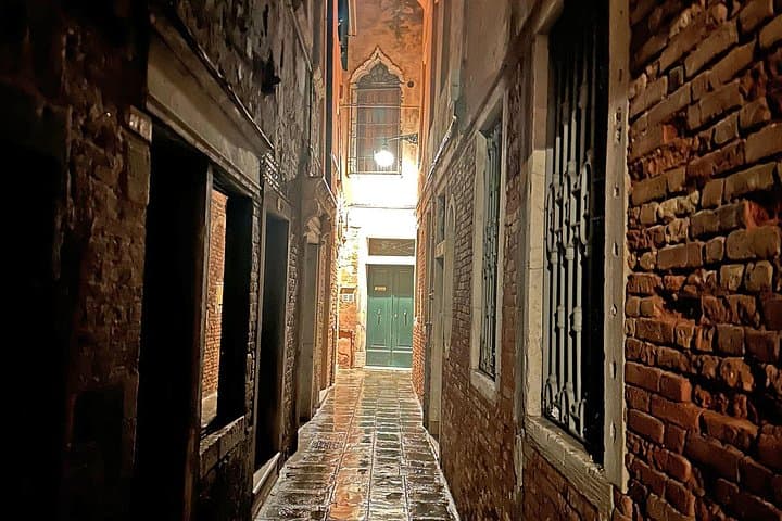 Guided Walking Tour in Venice by Night Crowd