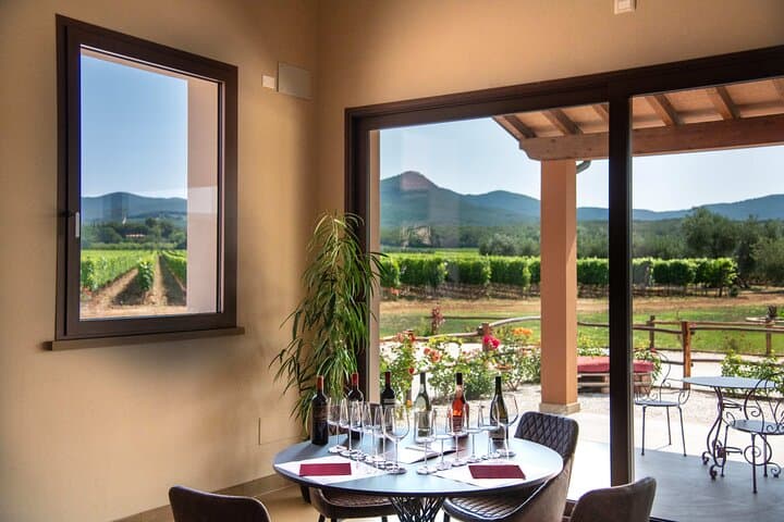 The classics - Guided tour with DOC Bolgheri tasting