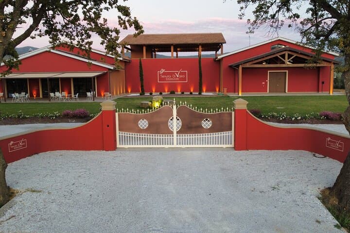 The classics - Guided tour with DOC Bolgheri tasting