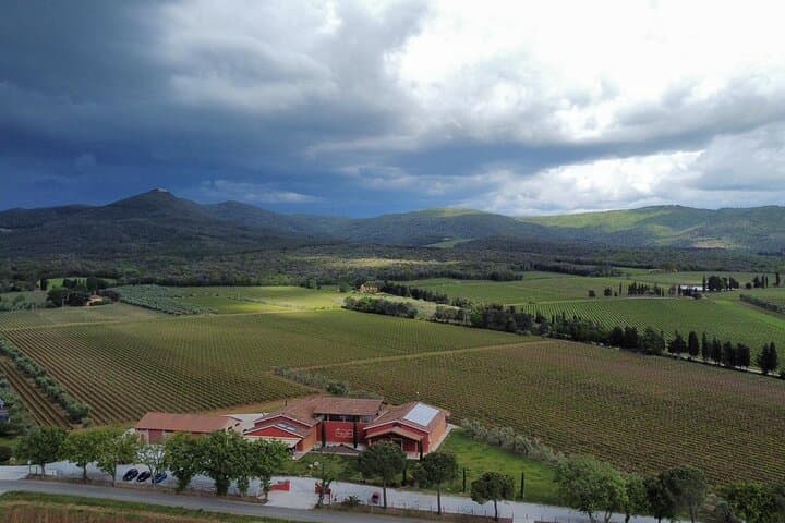 The classics - Guided tour with DOC Bolgheri tasting