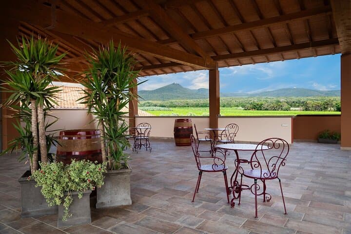 The classics - Guided tour with DOC Bolgheri tasting