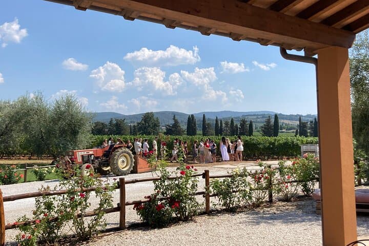 The classics - Guided tour with DOC Bolgheri tasting