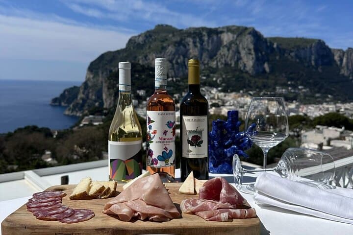 Small Group Capri Wine Tasting Experience with Sea View