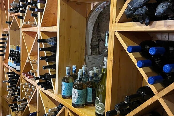 Small Group Capri Wine Tasting Experience with Sea View