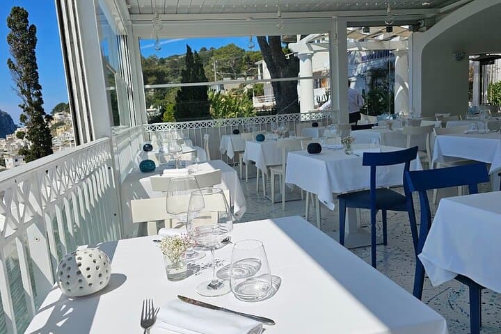 Small Group Capri Wine Tasting Experience with Sea View