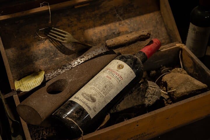 Wine tasting in Lucca