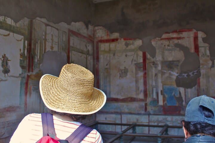 Skip the Line Pompeii Guided Tour from Sorrento