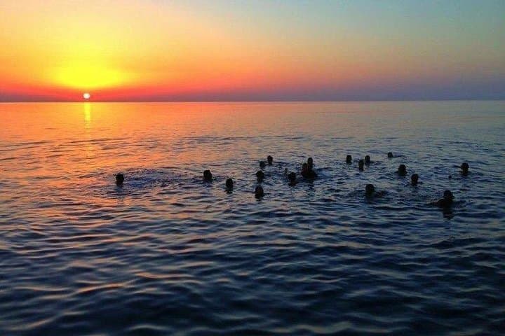 Swim