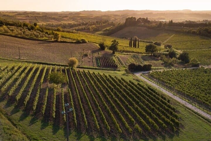 Chianti Landscape