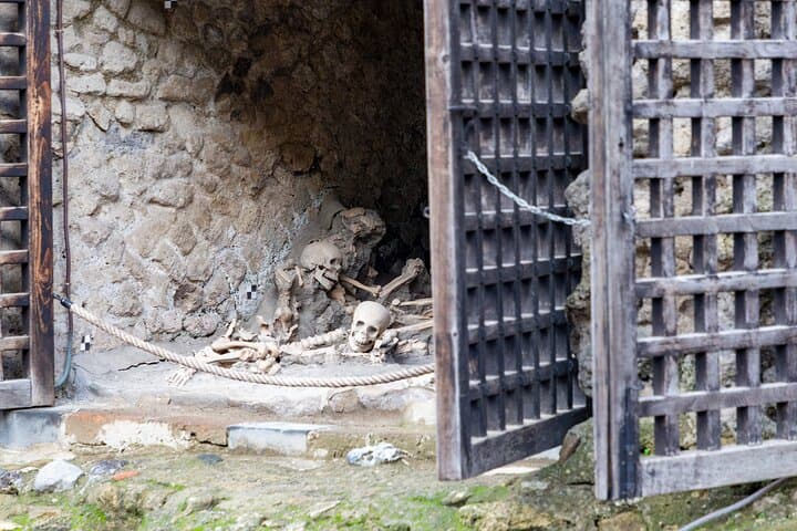Herculaneum Skip-the-Line Guided Exevutive Tour From Naples