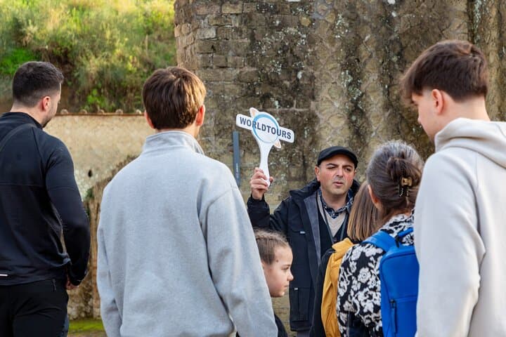 Herculaneum Skip-the-Line Guided Exevutive Tour From Naples