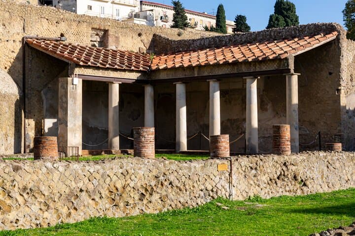 Walking Tour of Herculaneum with Local Guide