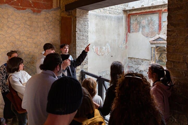 Herculaneum Skip-the-Line Guided Exevutive Tour From Naples