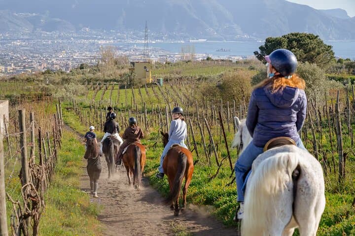 Horseback Riding on Vesuvius