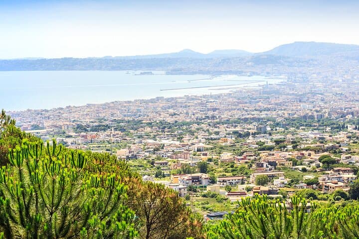 Explore Pompeii & Hike Vesuvius : Day Trip from Naples or Pompeii