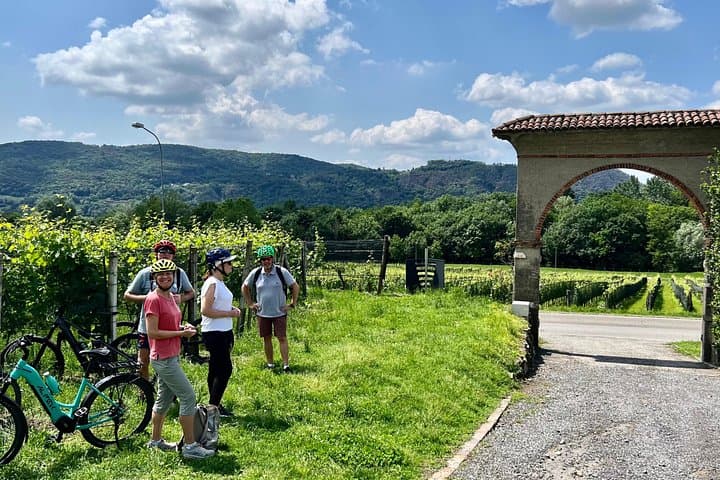 Swiss vineyard