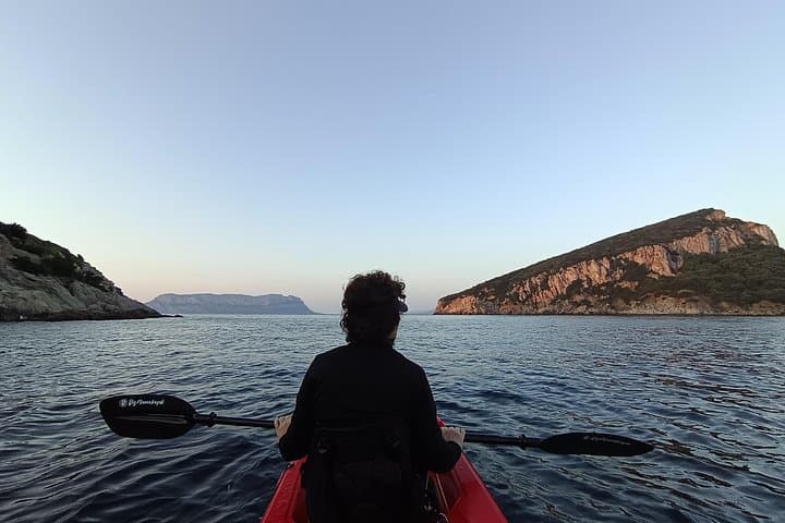 Golfo Aranci Kayak tour with aperitif and dolphin watching
