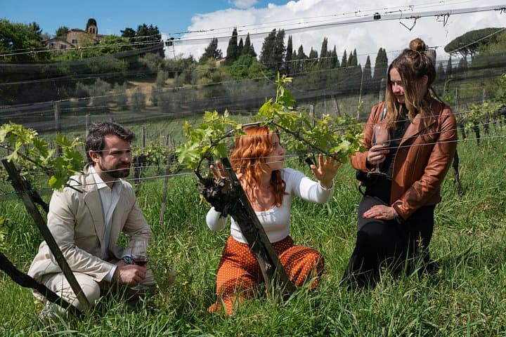 Siena: A Wine Tour and Tasting Experience