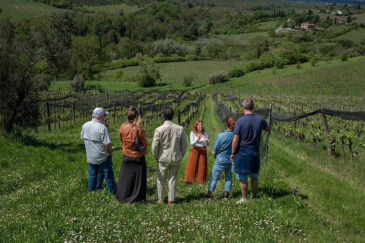 Siena: A Wine Tour and Tasting Experience