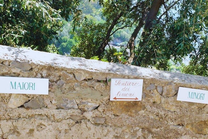 Every corner of the Path of the Lemons offers breathtaking beauty and the fresh scent of citrus.