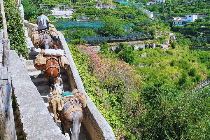 Exploring the charming village of Torre, with our guide sharing fascinating tales of the ancient Republic of Amalfi.
