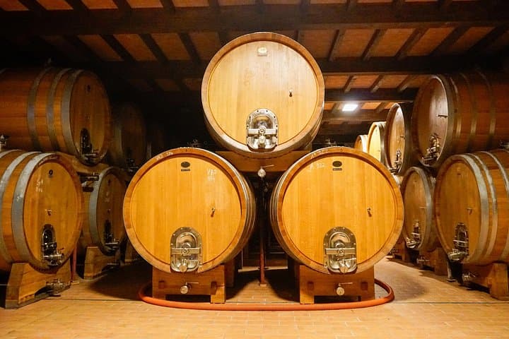 From the Cluster to the Chalice : A Journey into the Heart of Wine in Bardolino