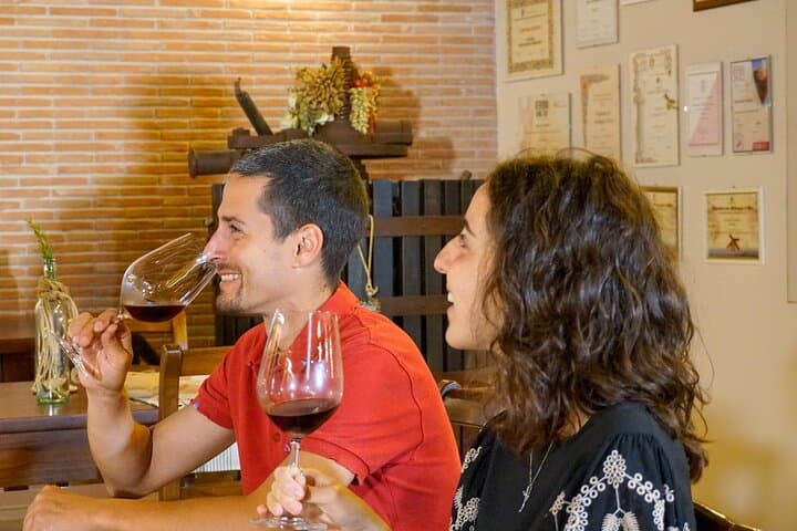 From the Cluster to the Chalice : A Journey into the Heart of Wine in Bardolino