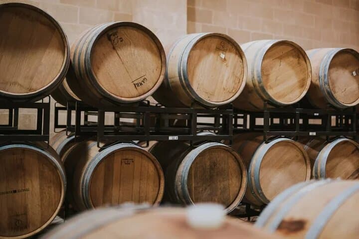 Brindisi Wine Experience : Wine Tasting and Winery Visit