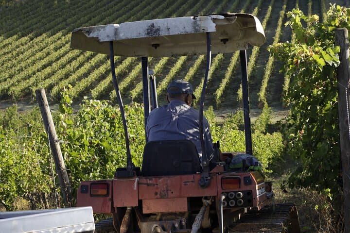 In the Heart of Chianti Classico : Wine, Winery and Tradition