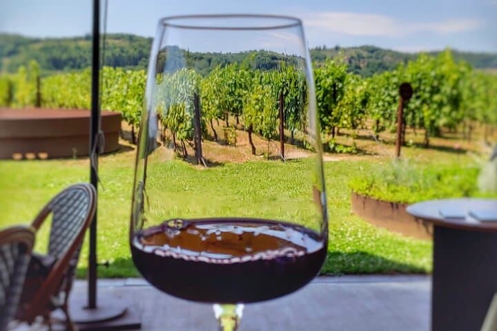 Private Chianti Wine Tour with Transfers from Florence
