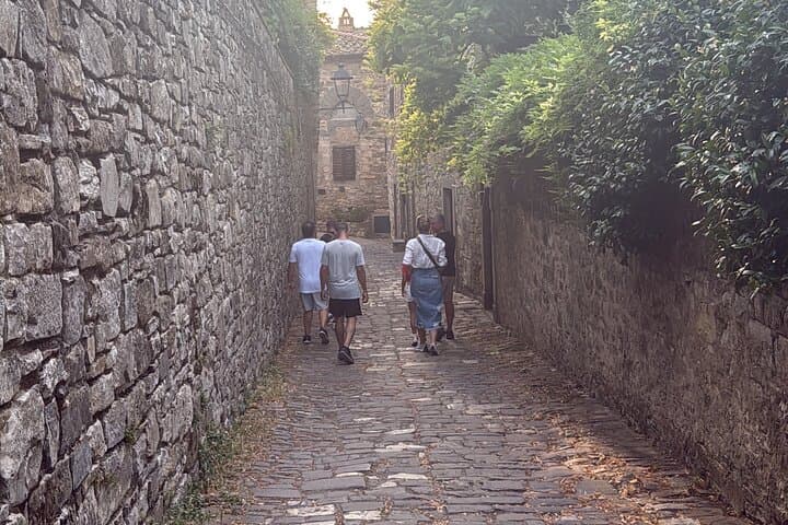 Private Chianti Wine Tour with Transfers from Florence