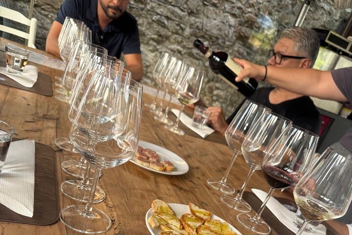 Private Chianti Wine Tour with Transfers from Florence