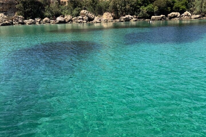 Calamosca