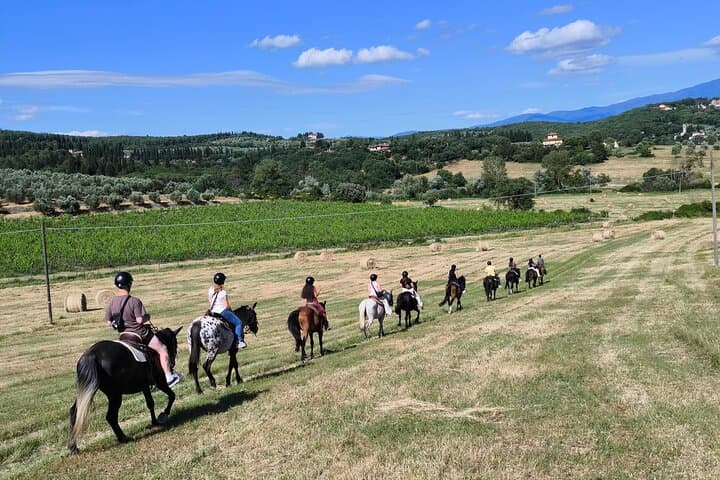 Horseback Riding in the Vineyards