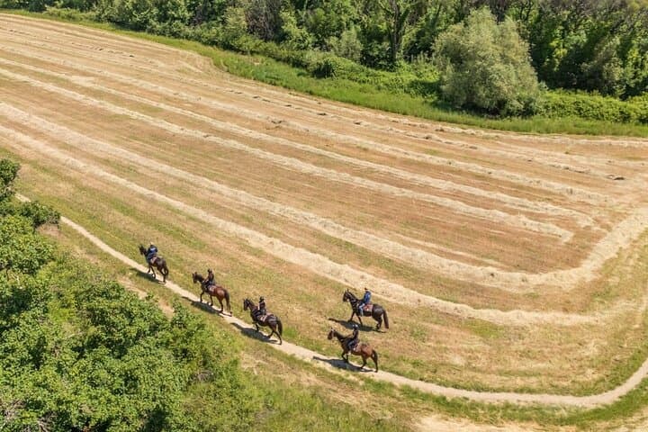 Horseback Riding in the Vineyards