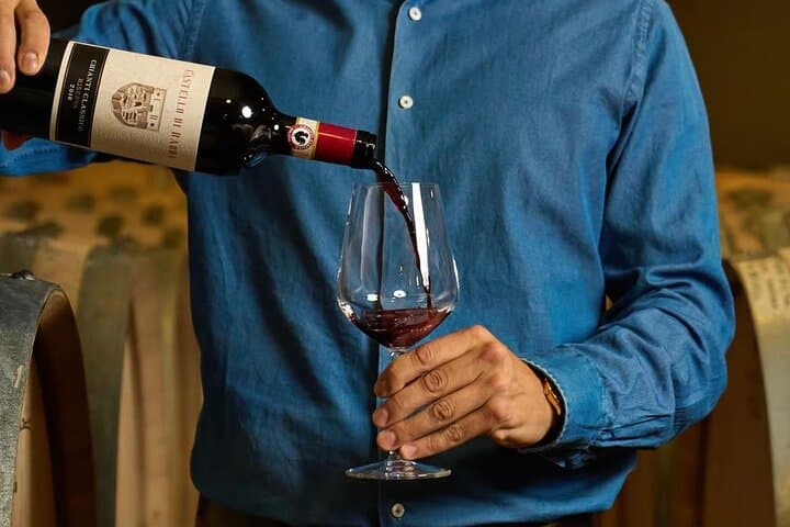 Wine Tasting in an Authentic Tuscan Cellar in Radda in Chianti