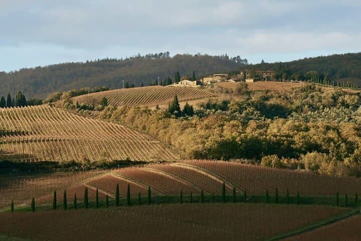 Wine Tasting in an Authentic Tuscan Cellar in Radda in Chianti