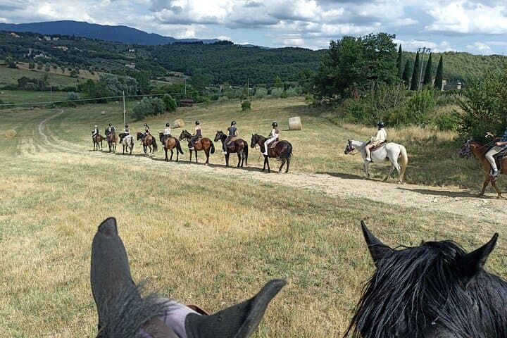 Horseback Riding in the Vineyards