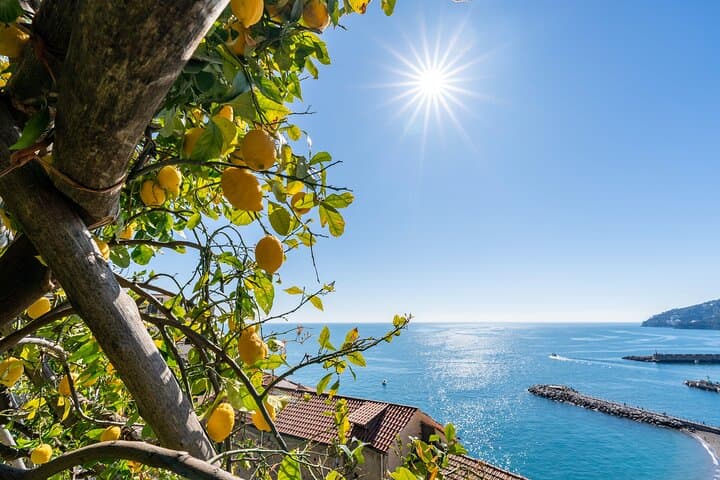 Lemon and Views : Amalfi Monumental Garden Tour