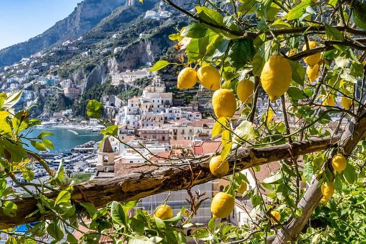 Lemon and Views : Amalfi Monumental Garden Tour