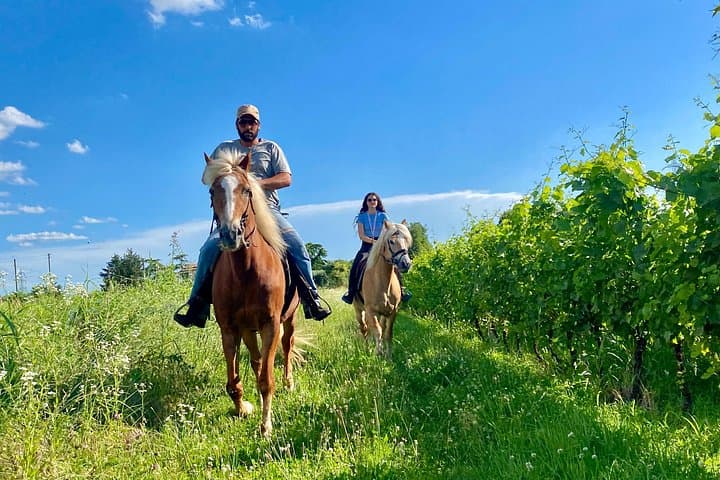 2 hours Horseback Ride in Lake Garda countryside