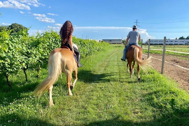 2 hours Horseback Ride in Lake Garda countryside