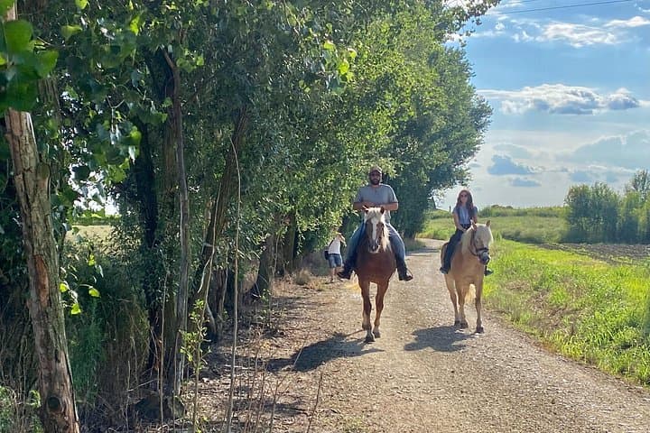 2 hours Horseback Ride in Lake Garda countryside