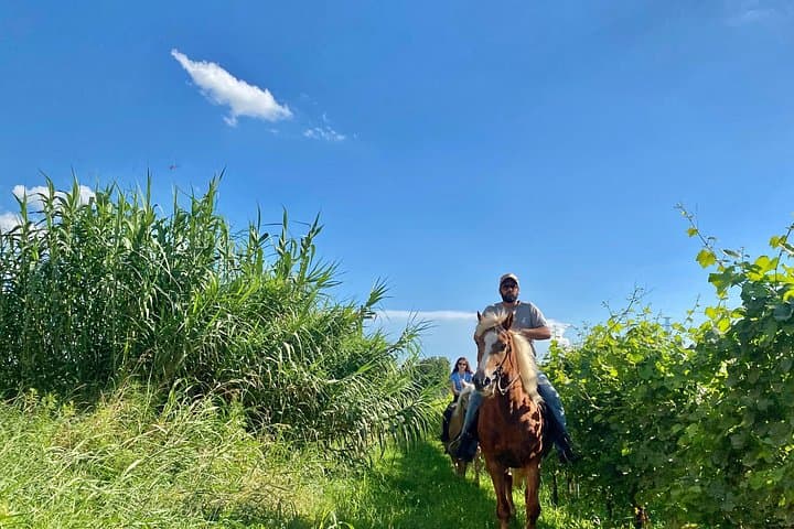 2 hours Horseback Ride in Lake Garda countryside