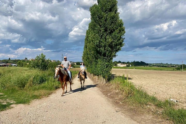 2 hours Horseback Ride in Lake Garda countryside