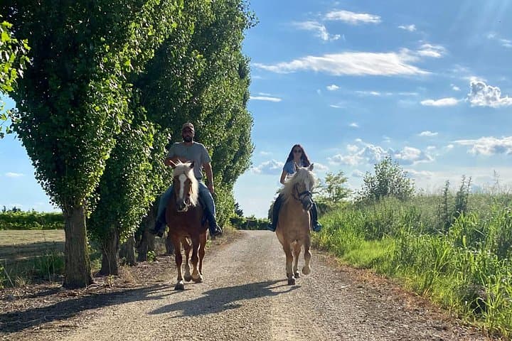 2 hours Horseback Ride in Lake Garda countryside