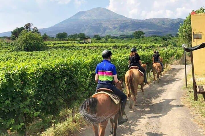 Horseback Riding on Mt. Vesuvius with Wine Tasting and Dinner