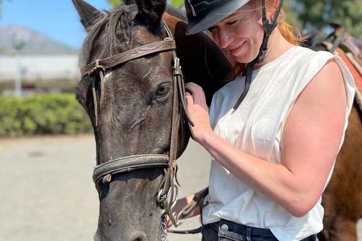 Horseback Riding on Mt. Vesuvius with Wine Tasting and Dinner