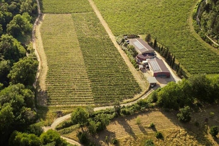 Classic Wine Tasting by Carus Wines