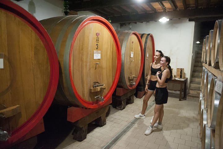 E-Bike Tour in the Tuscan Hills with Wine Tasting
